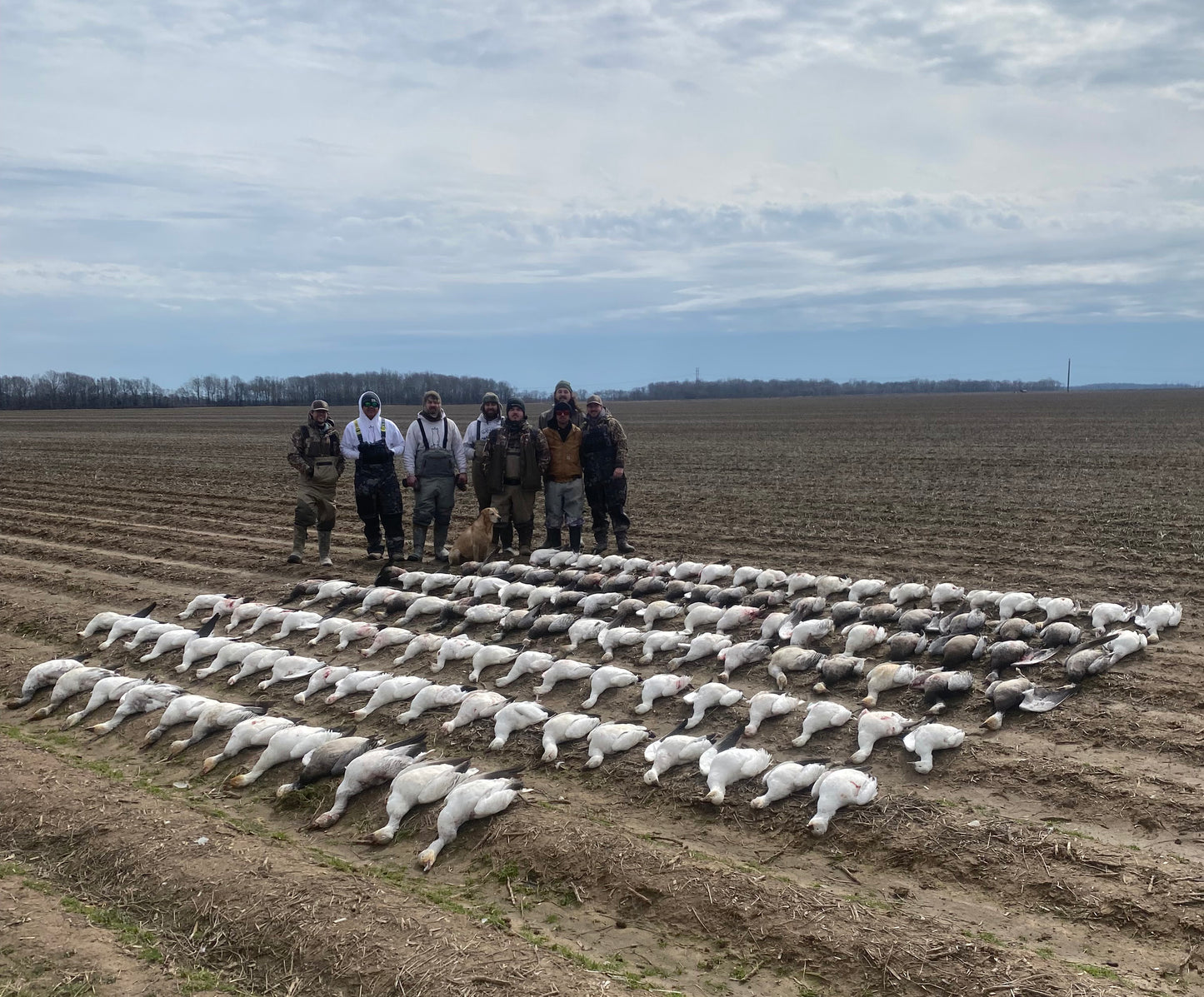 Spring Goose Hunting